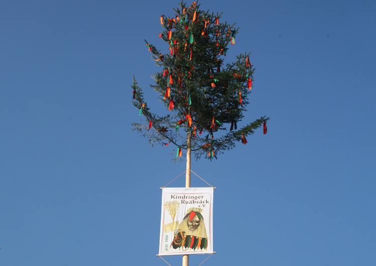 Das Narrenbaumstellen